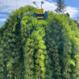 PHOTO-2023-05-13-15-23-19