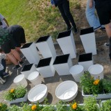 IMG_20230616_111823946_HDR