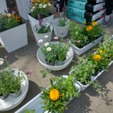 IMG_20230616_112219344_HDR-1